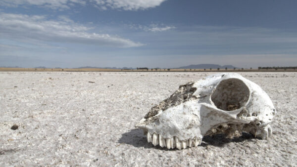 Salt Pans, Willaura