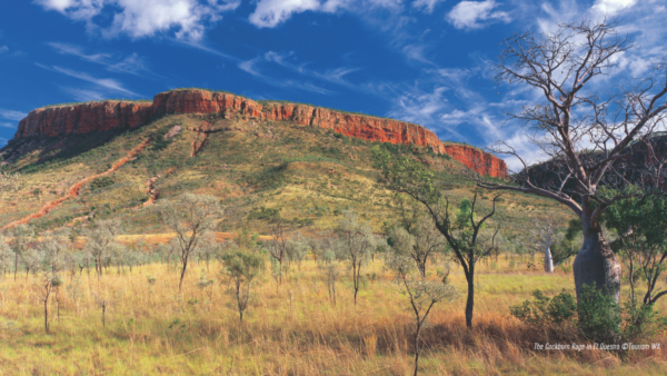 PRODUCTIONS OF THE KIMBERLEY REGION OF WESTERN AUSTRALIA