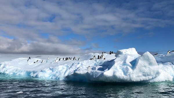 WA PRODUCER HEADS TO ANTARCTICA FOR GROUND-BREAKING VR EXPERIENCE