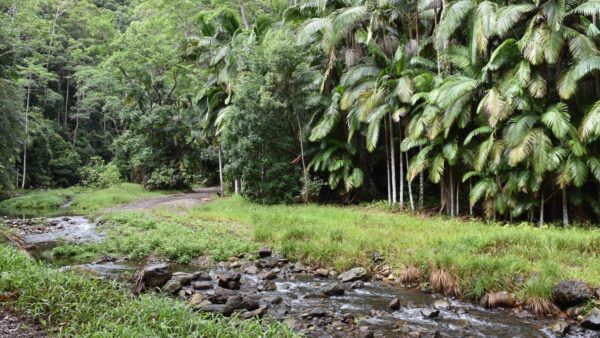 Tallebudgera Valley