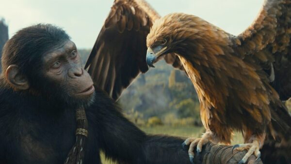 Aerial Film Australia Helps <em>Kingdom of the Planet of the Apes</em> Soar to New Heights