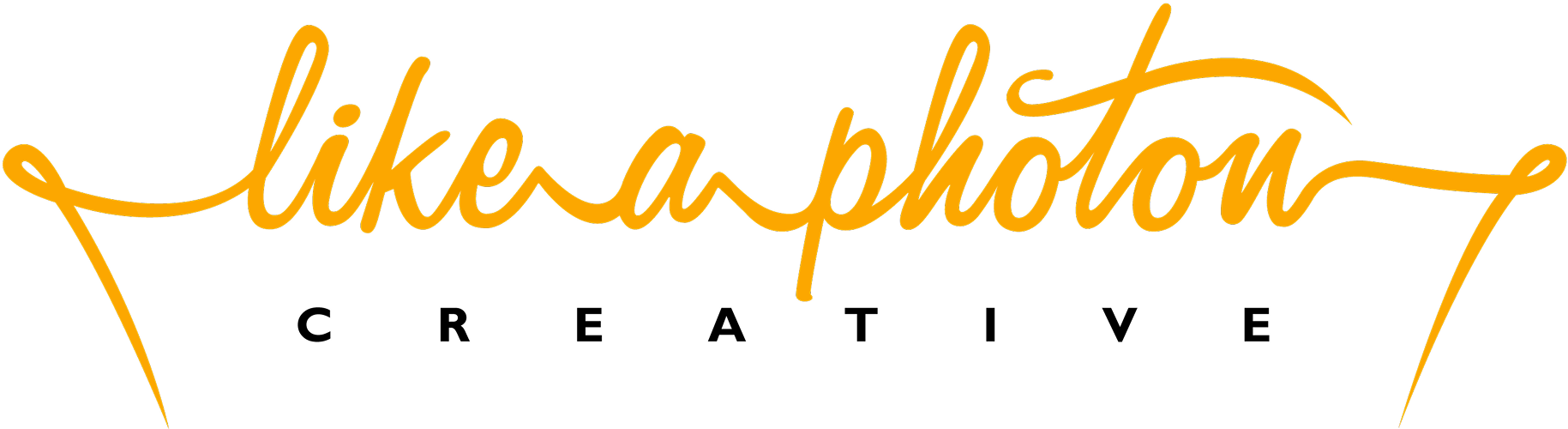 campany logo