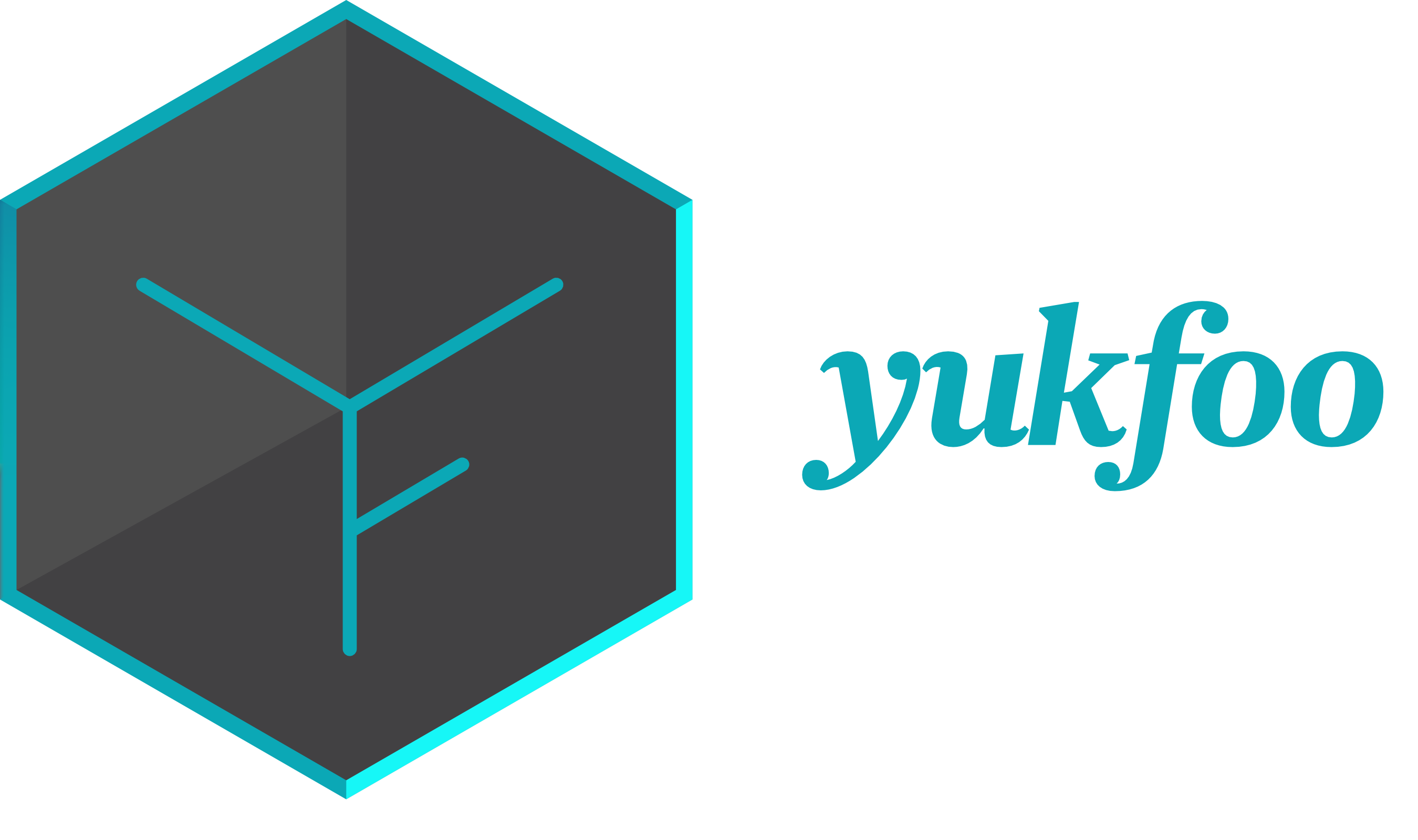 campany logo